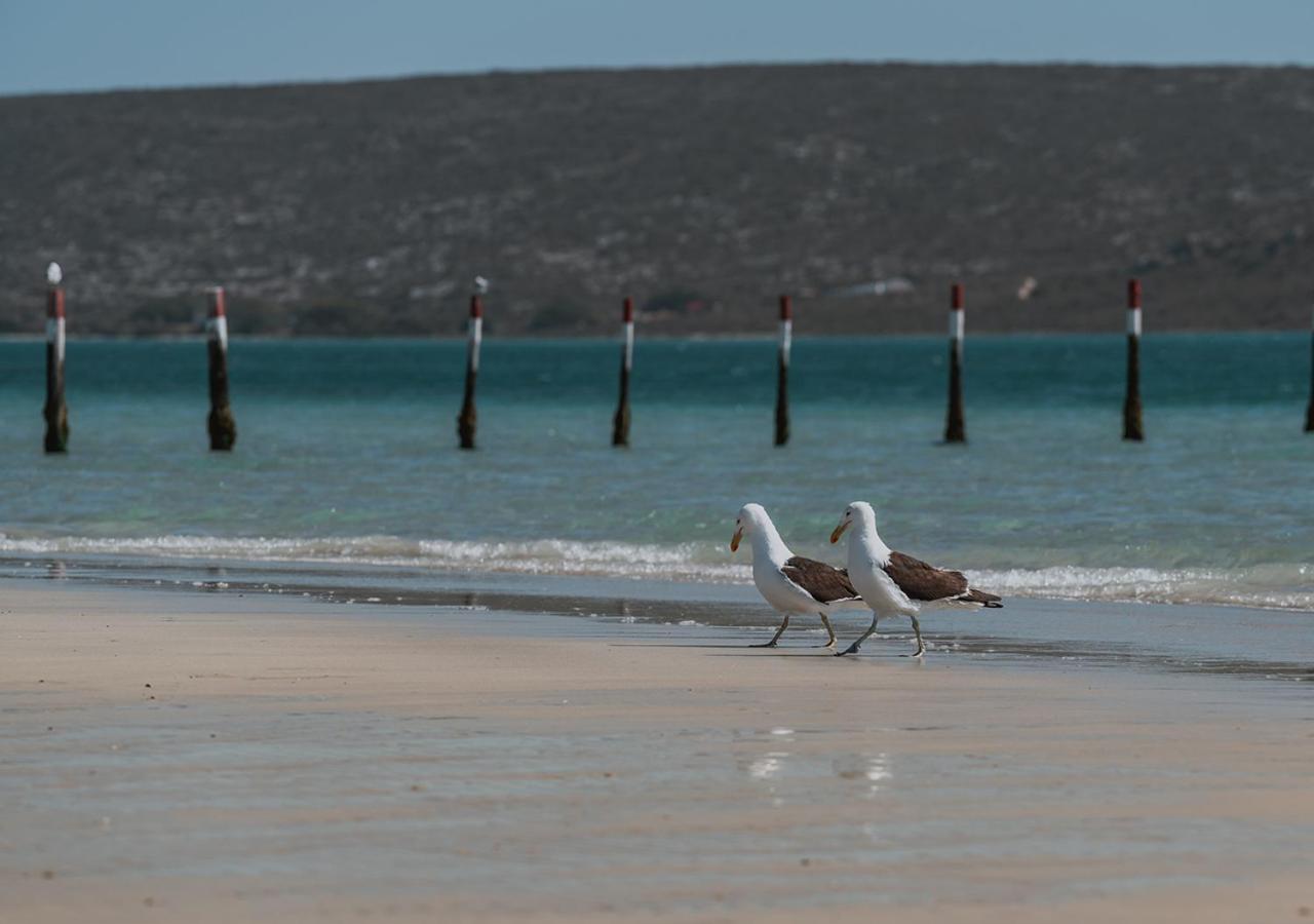 The Shark Bay Boutique & Hotel Langebaan