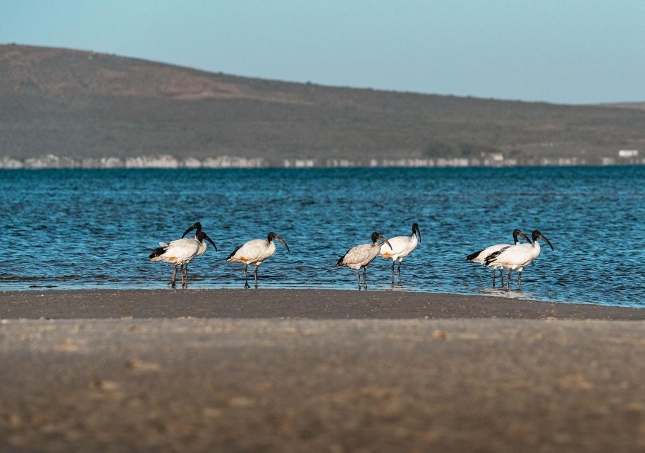 The Shark Bay Boutique & Hotel *